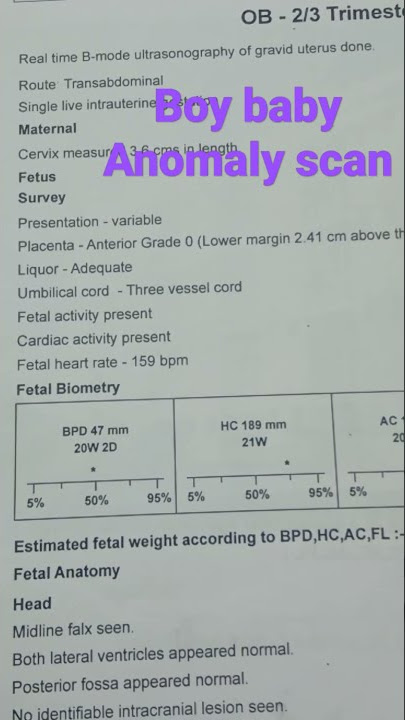 Boy baby Anomaly scan report#shorts