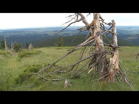 Video: Co Je To Zvláště Chráněná Přírodní Oblast