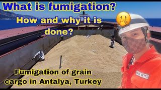 HOW FUMIGATION OF GRAIN CARGO IS DONE | WHAT IS FUMIGATION | CHIEF Red SEAMAN VLOG EP.21