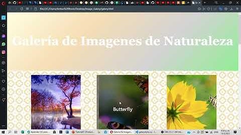 Galería de Imagenes con HTML, CSS y JAVASCRIPT