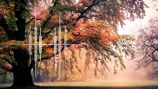 Mr. Belt & Wezol - Stupid ( feat. Lucy XX Remix)
