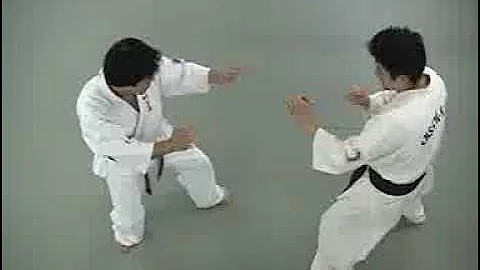 Kiiro Obi No Kata 2