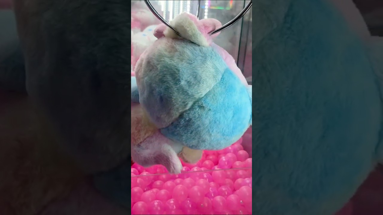 Never Letting ANYONE Forget this Win...