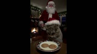 Funky Santa Is Here to Party! #santa  #ChristmasFun #funny  #Shorts #YTShorts #viral #vijay #tvk