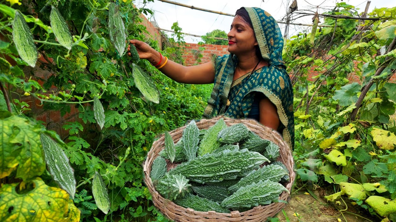 शनिवार स्पेशल हमने बनाया करेले का भरवा, सगपइता वाला दाल भात , फिर ससुरजी ने स्वाद चख कर बताया !!!