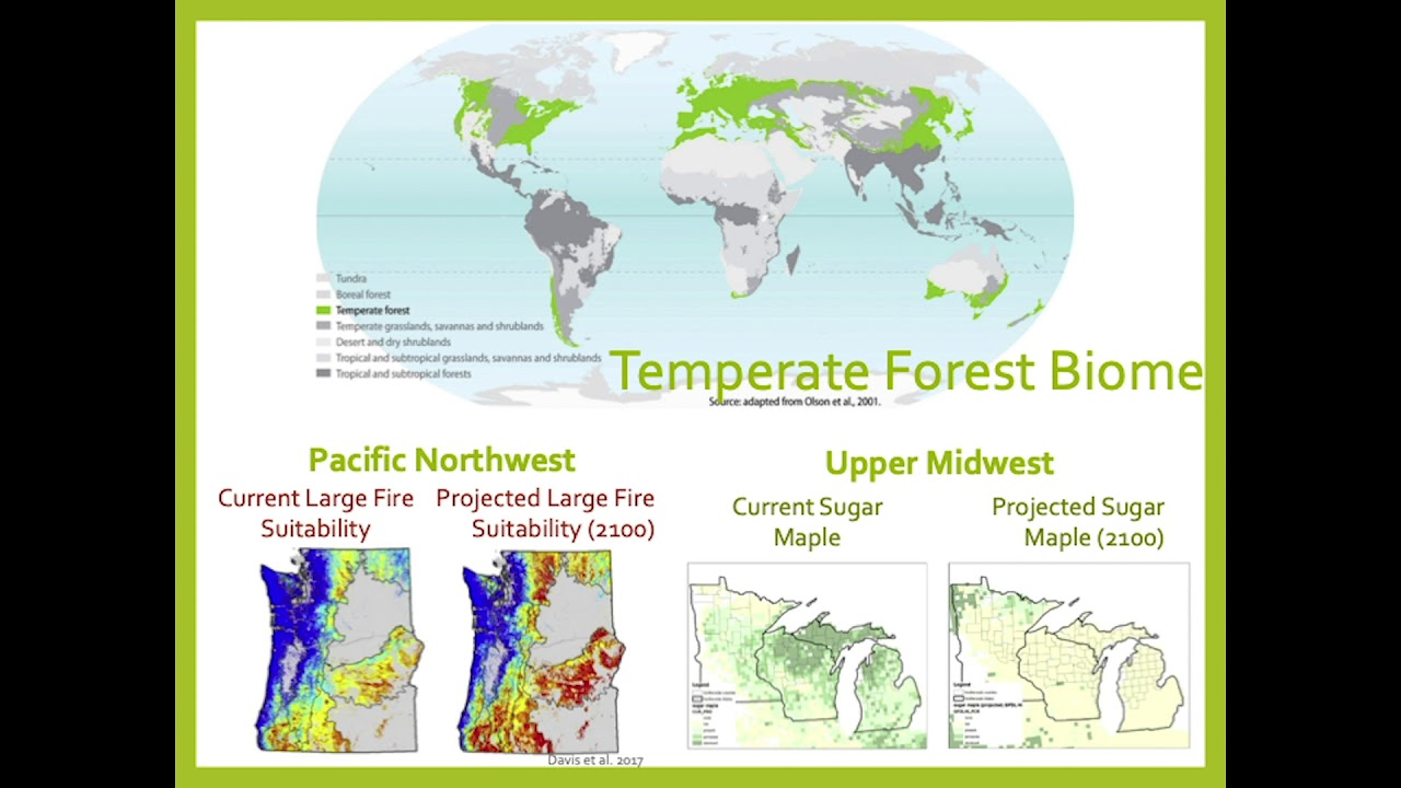 LIGHTNING TALKS: Paige Fischer