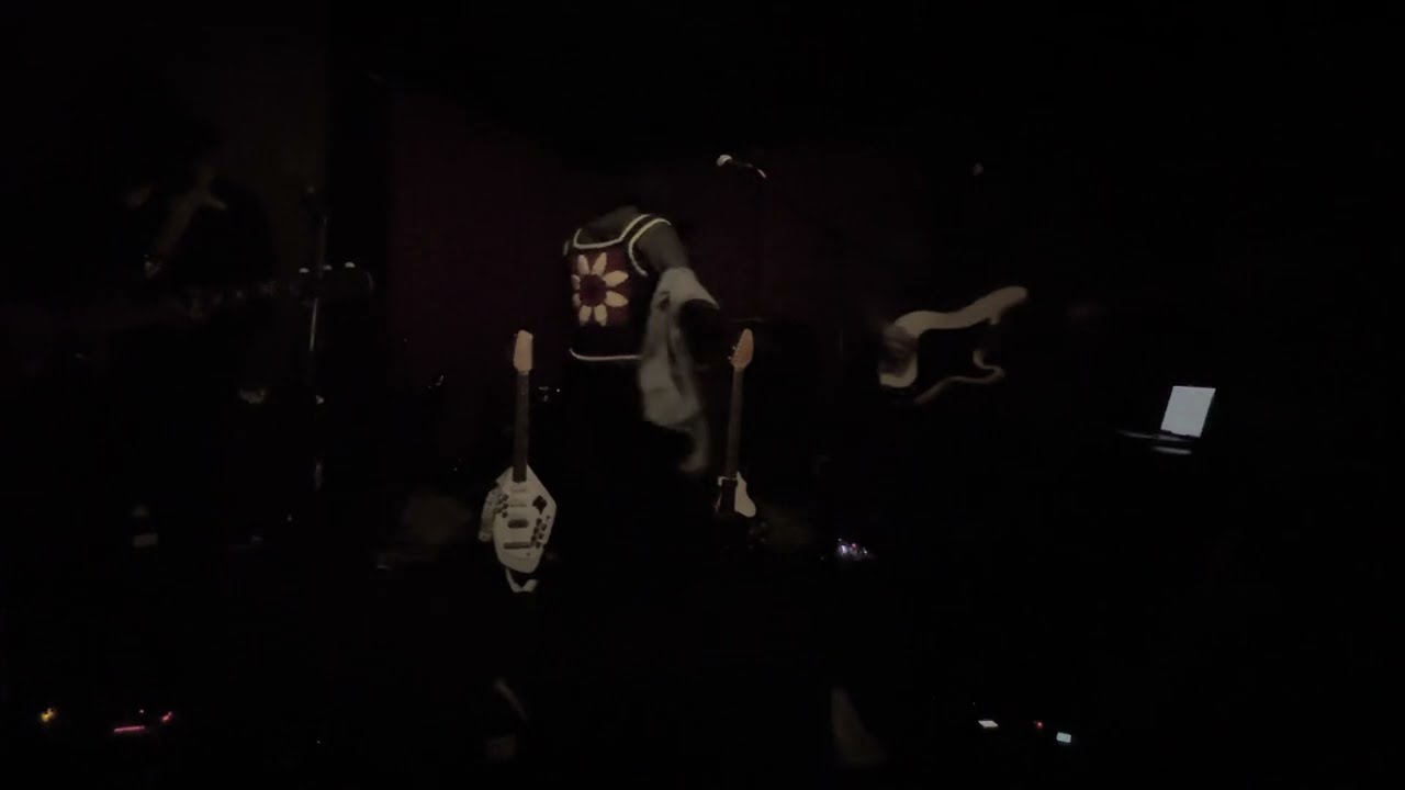 The Veldt - "Willow Tree" (live at O'Brien's, Allston, MA 1/13/2024)