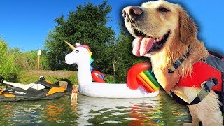 DOG RIDES GIANT UNICORN FLOAT TO PRIVATE ISLAND