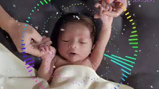 Lirik lagu LINTANG ATI Versi SUARA LUCU 🤣🤣