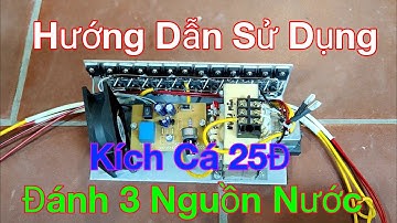 Hướng Dẫn Sử Dụng Kích Cá 25Đ Đánh 3 Chế Độ Nước Ngọt, Nước Lợ, Nước Mặn Hiệu Quả Nhất - Kích Cá 25Đ