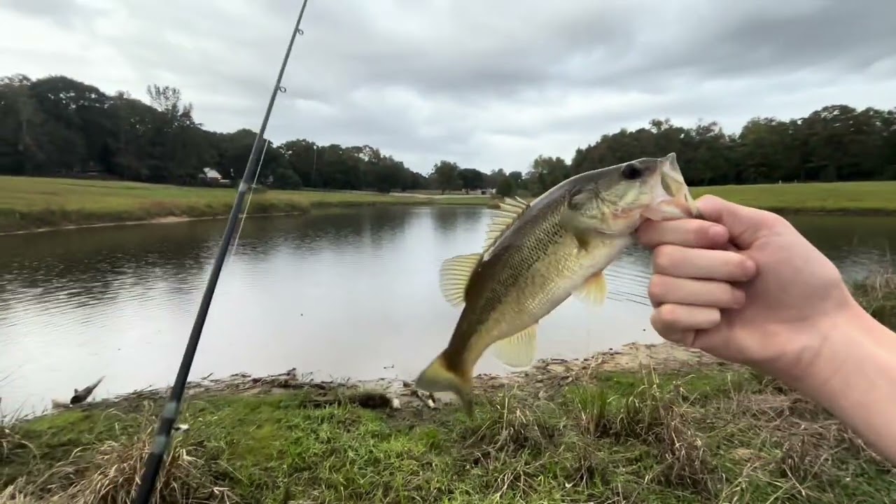 FISHING UNTOUCHED FARM POND FOR BIG BASS