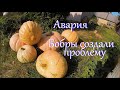 Попали в аварию. День на хуторе