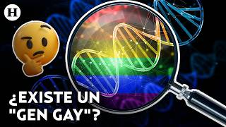 Are gays born or made? Science reveals the shocking truth about sexual orientation