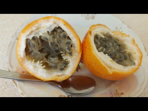 Как есть гранадиллу. Как выбрать спелый фрукт?