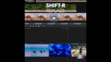 Final Cut Pro Shortcut | Shift-R | Replace