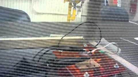 Action potential signals-cockroach