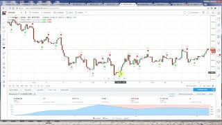 Notorious B.o.t. Trade Bot Autoview Set Up For Automated Trading
