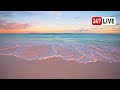 Ocean Ambience 4K (LIVE 24/7). Tropical Beach &amp; Ocean Waves Sounds. Maldives InterContinental