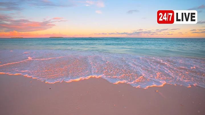 Ocean Ambience 4K (LIVE 24/7). Tropical Beach & Ocean Waves Sounds. Maldives InterContinental thumbnail