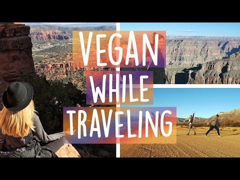 How to eat Vegan while Traveling + B12 shots | Road Trip Part #3