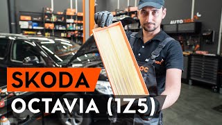 Manuale de reparații pentru Skoda Octavia 3: cea mai reușită modalitate de a prelungi durata de exploatare a automobilul dumneavoastră