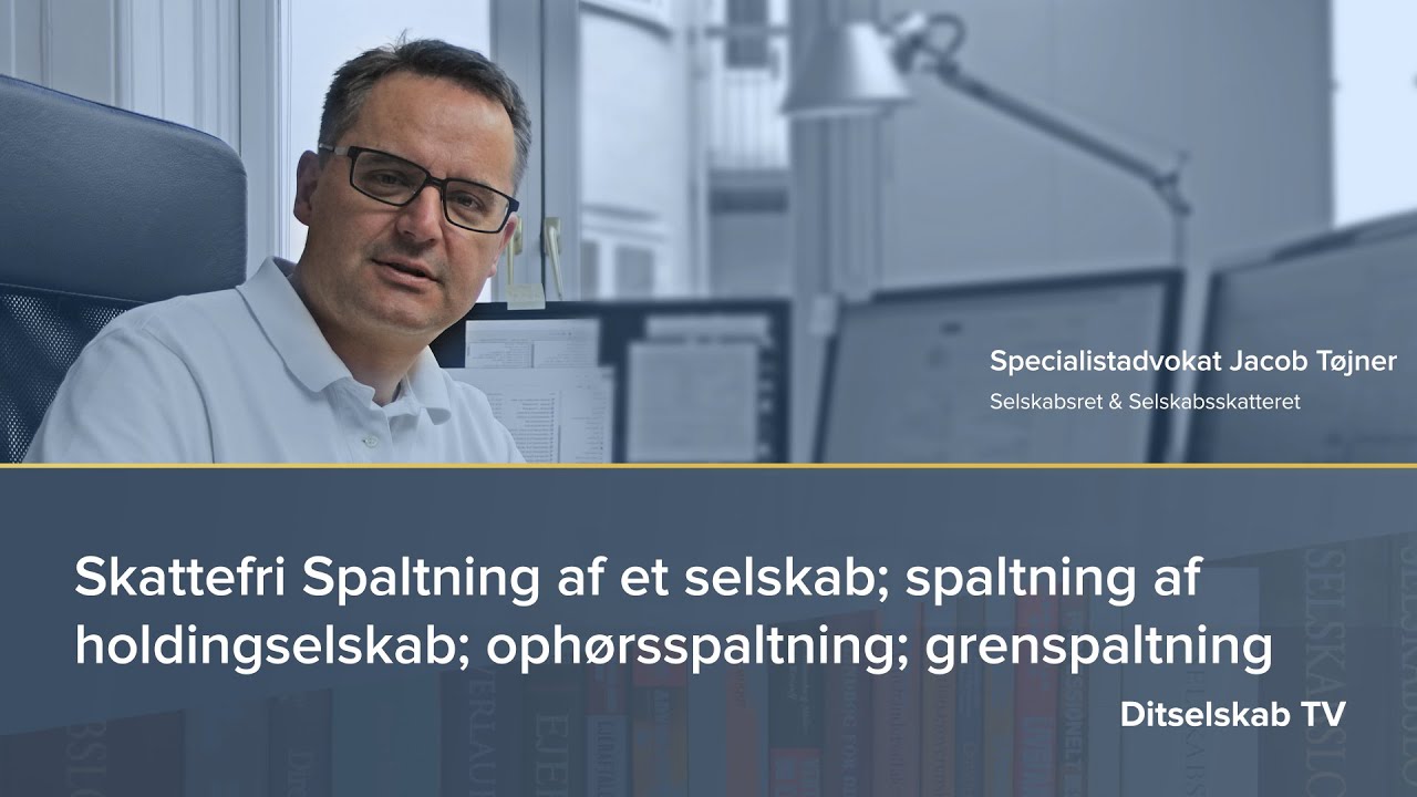 Skattefri Spaltning af et selskab; spaltning af holdingselskab; ophørsspaltning; grenspaltning