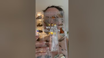 Who else collects insects? #gardening #bugcollection #collections #nature #bugs #cicada #butterfly