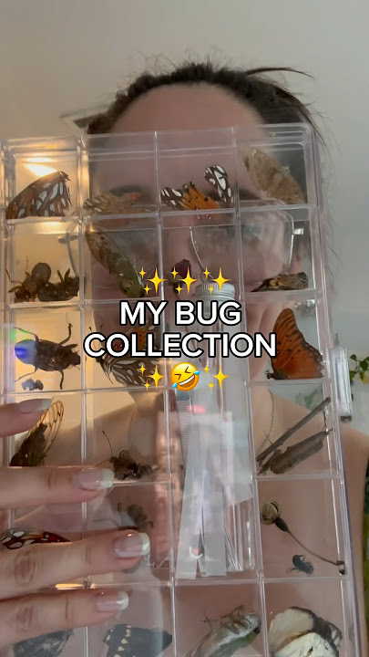 Who else collects insects? #gardening #bugcollection #collections #nature #bugs #cicada #butterfly