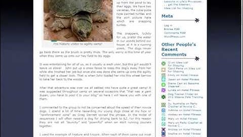 Revealed - WordPress Search Engine Otimization Secrets Part - 23