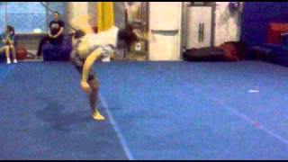 Ariel - Buttuerfly Full - Hook - Scoot - Cork