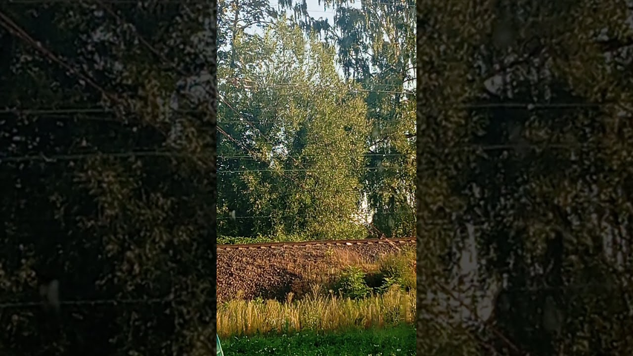 В827молитва воїна добра382Аthe prayer of a good warrior 