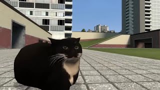 Maxwell, our beloved 2023 (speed edit)