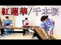 紅蓮華＆千本桜メドレー／箏桜会そうおうかいsououkai／箏曲／鬼滅の刃／東海村