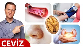 Ceviz, Omega-3 Yağları İçeren Tek Kuruyemiştir Dr.berg Türkçe