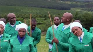 Ihubo Lezayoni - Ndodana ka Davide Ngihawukele