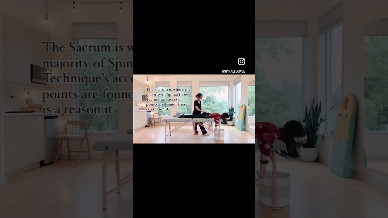 33 Access Points of the Spinal Flow Technique