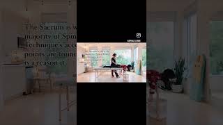 33 Access Points of the Spinal Flow Technique