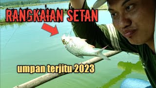 JITU!!! TERNYATA HANYA PAKAI UMPAN INI BISA PANEN TAWES MERAH // UMPAN TAWES MERAH TERBARU 2023