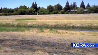 From The Field: River Search Turns Up Nothing New