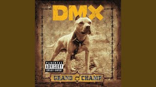 Video thumbnail of "DMX - Untouchable"