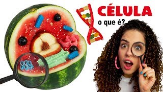 DIY EDIBLE CELL - What is a cell? | Paula Stephânia DIY EDIBLE CELL - What is a cell? | Paula Stephânia