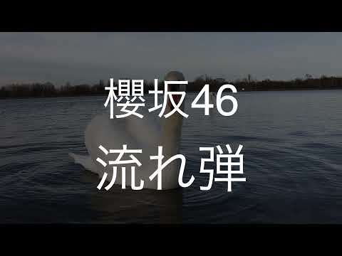 流れ弾/櫻坂46　歌ってみた