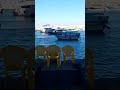 منظر البحر ومراكب في اسكندريه عند القلعه البحر صافي وشكله تحفه منظر البحر ومراكب في اسكندريه عند القلعه البحر صافي وشكله تحفه