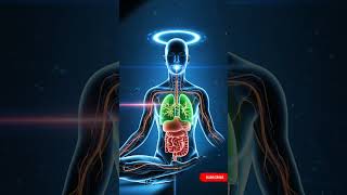 Meditation Rewires Your Body U0026 Brain digestiveprocess humanbody foodfacts  animation  foryou