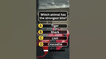 Gk questions in English |  | Trivia game questions | English Quiz Game