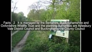 Finemere Wood Top  #6 Facts