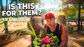 Saving Elephants in Koh Samui and Eating Thailand's MOST unique dish