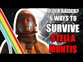 6 Tips Older Raiders NEED for Surviving Stella Montis