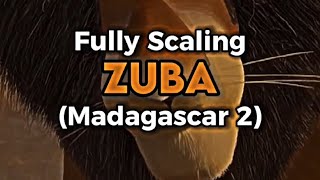 Fully Scaling Zuba (Madagascar 2)