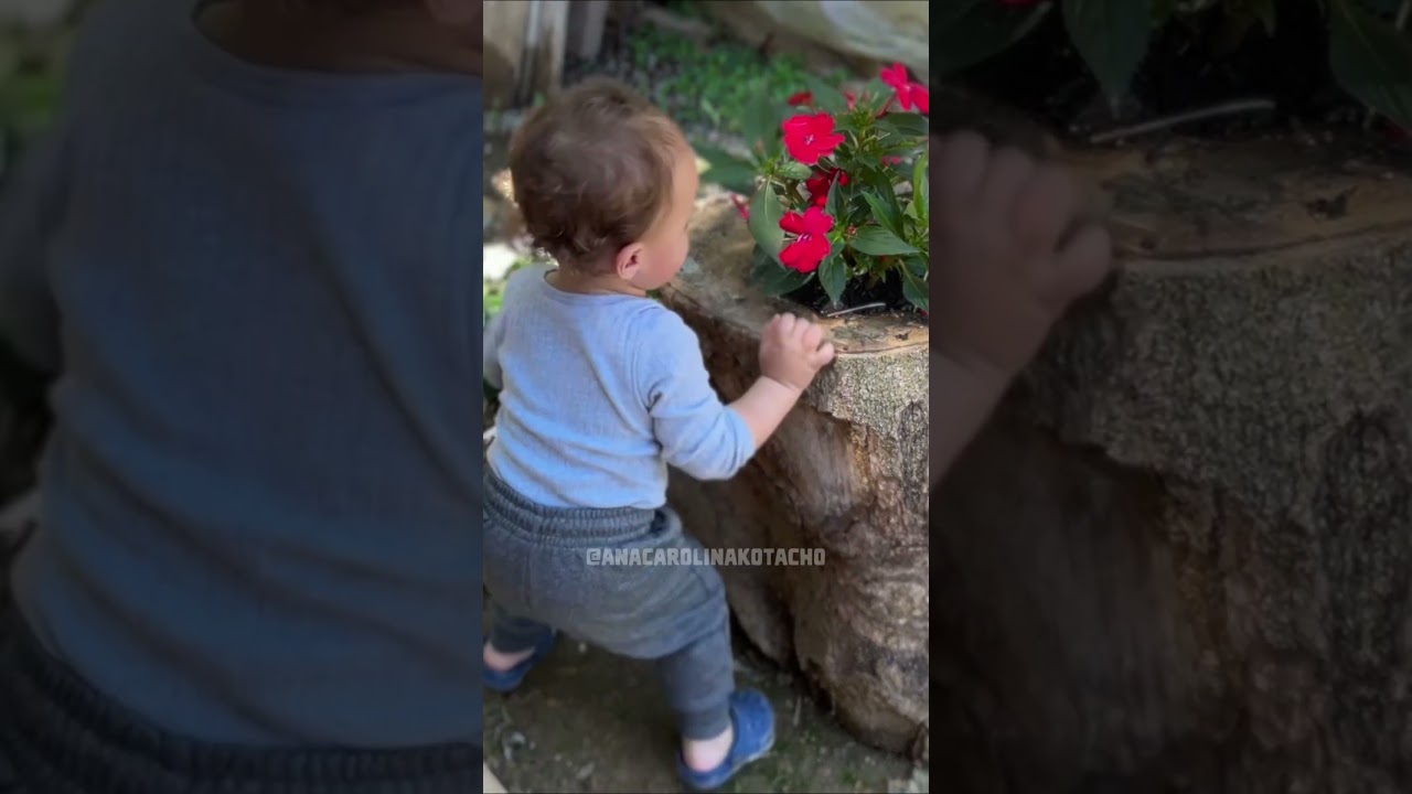 Colheita na chácara e bolinho de chuva 